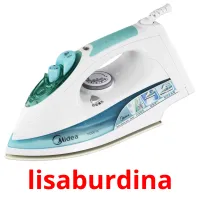 lisaburdina picture flashcards