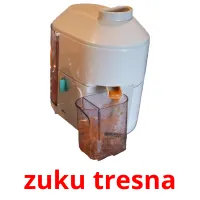 zuku tresna picture flashcards