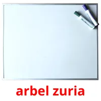 arbel zuria picture flashcards