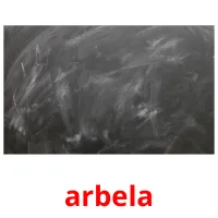 arbela picture flashcards