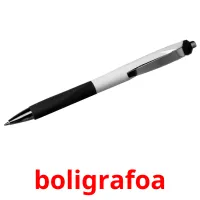 boligrafoa picture flashcards