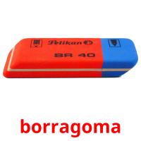 borragoma picture flashcards