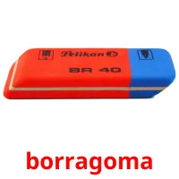 borragoma picture flashcards