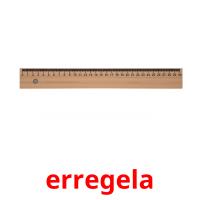 erregela picture flashcards