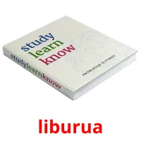 liburua picture flashcards