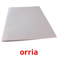 orria picture flashcards
