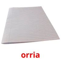 orria picture flashcards