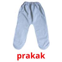 prakak picture flashcards