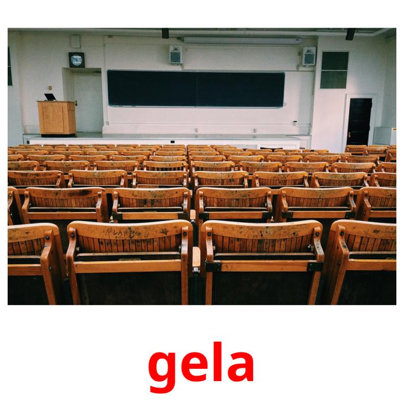 gela picture flashcards