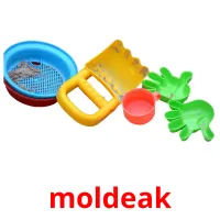 moldeak picture flashcards