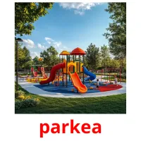 parkea picture flashcards