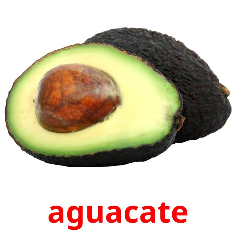 aguacate picture flashcards