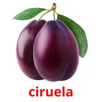 ciruela Tarjetas didacticas