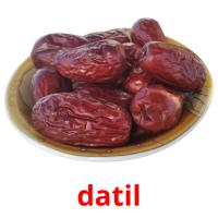 datil picture flashcards