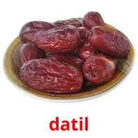 datil Tarjetas didacticas