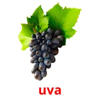 uva Tarjetas didacticas