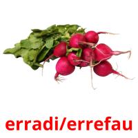 erradi/errefau flashcards illustrate