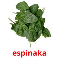espinaka picture flashcards