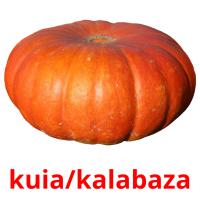 kuia/kalabaza flashcards illustrate