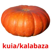 kuia/kalabaza cartes flash