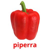 piperra picture flashcards
