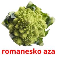 romanesko aza picture flashcards