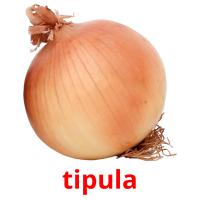 tipula picture flashcards