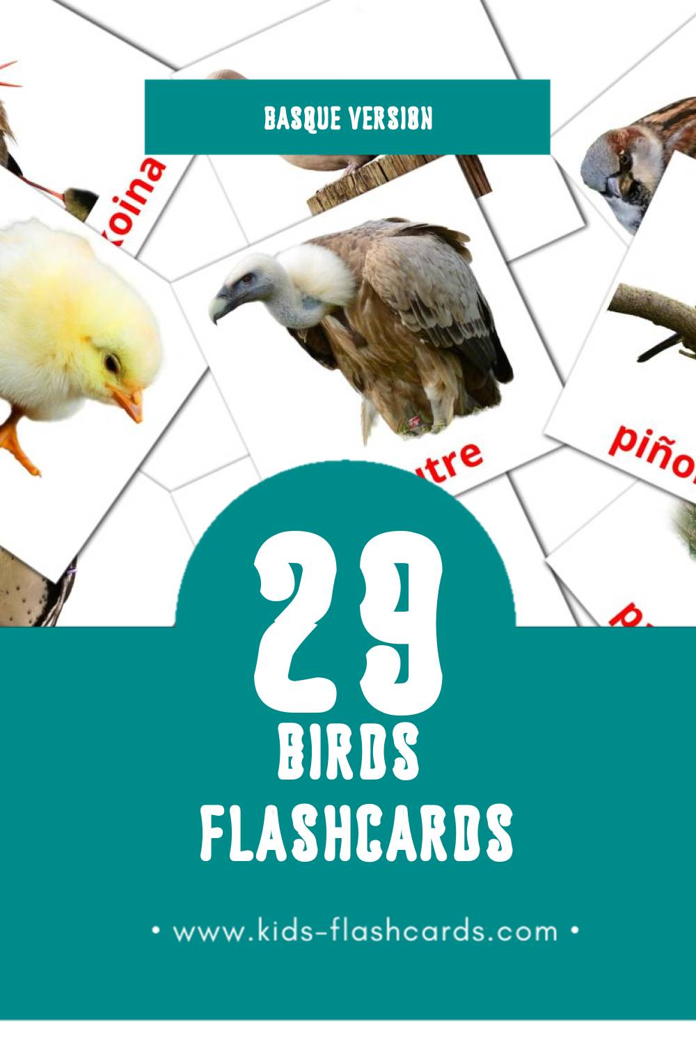 Visual Hegaztiak Flashcards for Toddlers (18 cards in Basque)