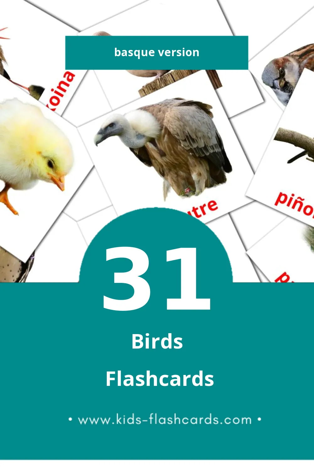 Visual Hegaztiak Flashcards for Toddlers (31 cards in Basque)