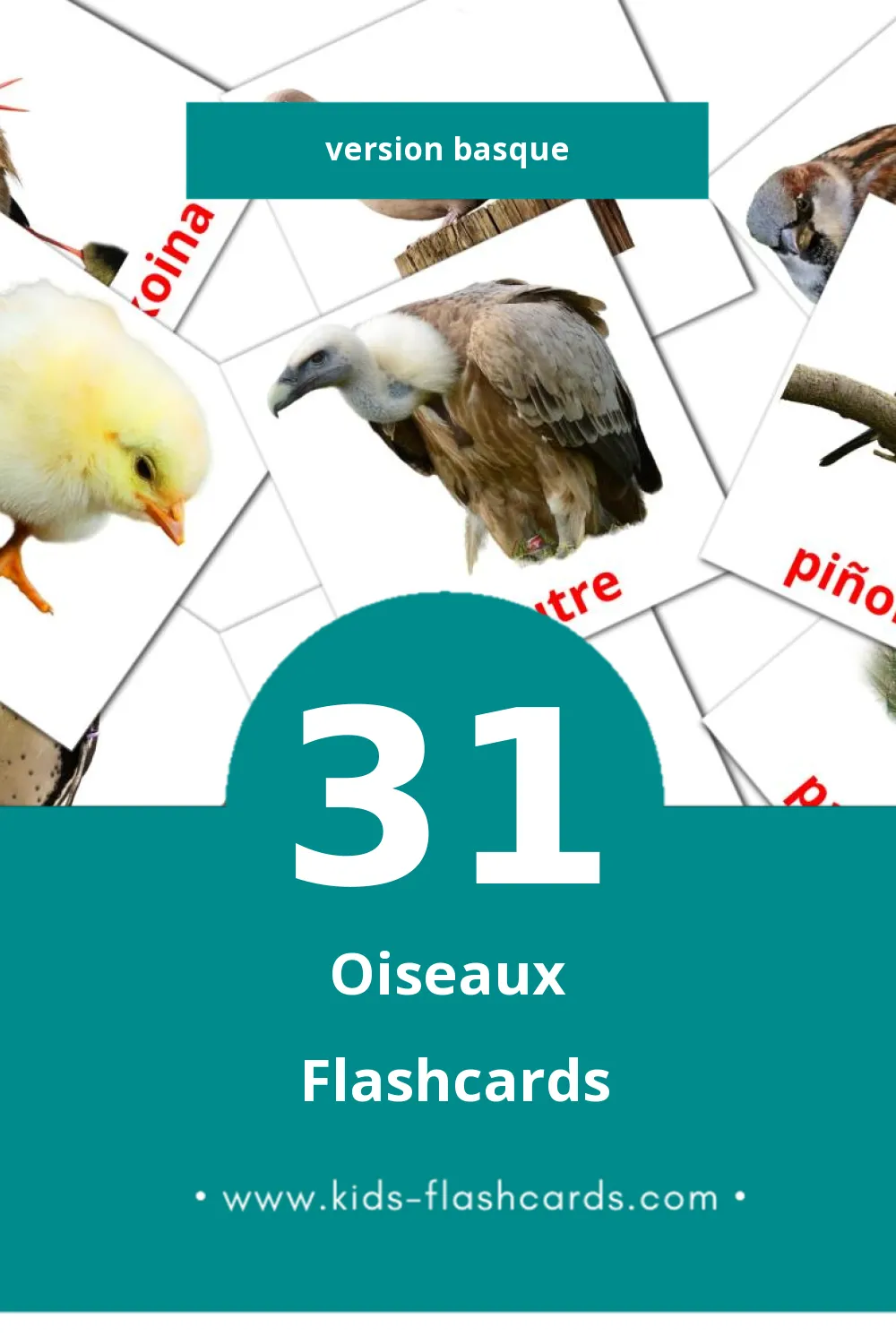 Flashcards Visual Hegaztiak pour les tout-petits (31 cartes en Basque)