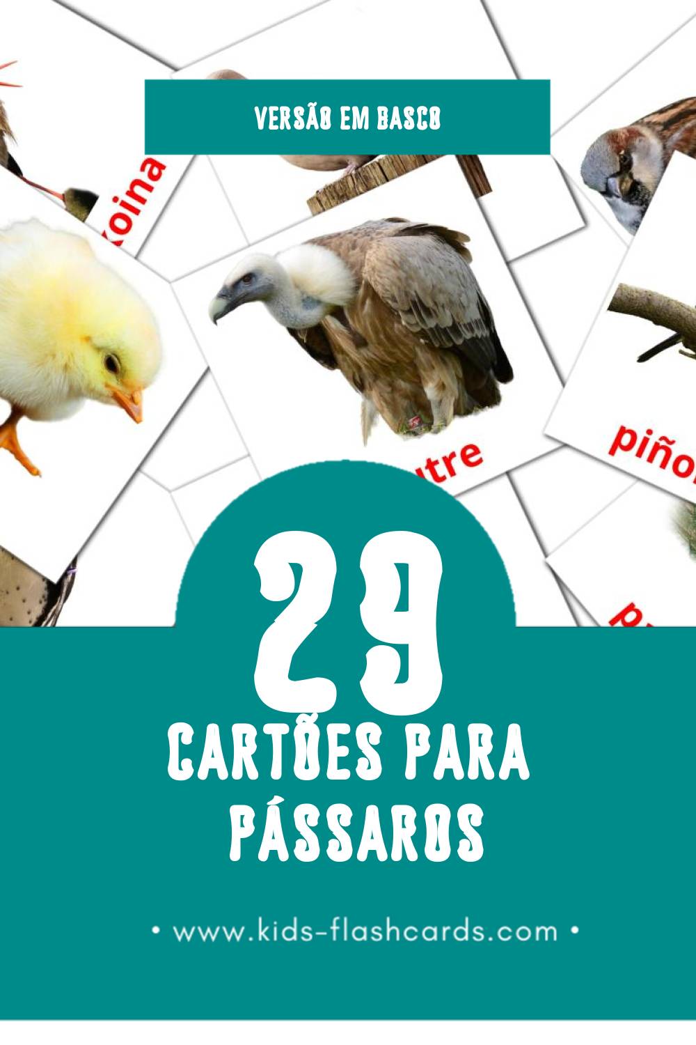 Flashcards de Hegaztiak Visuais para Toddlers (29 cartões em Basco)