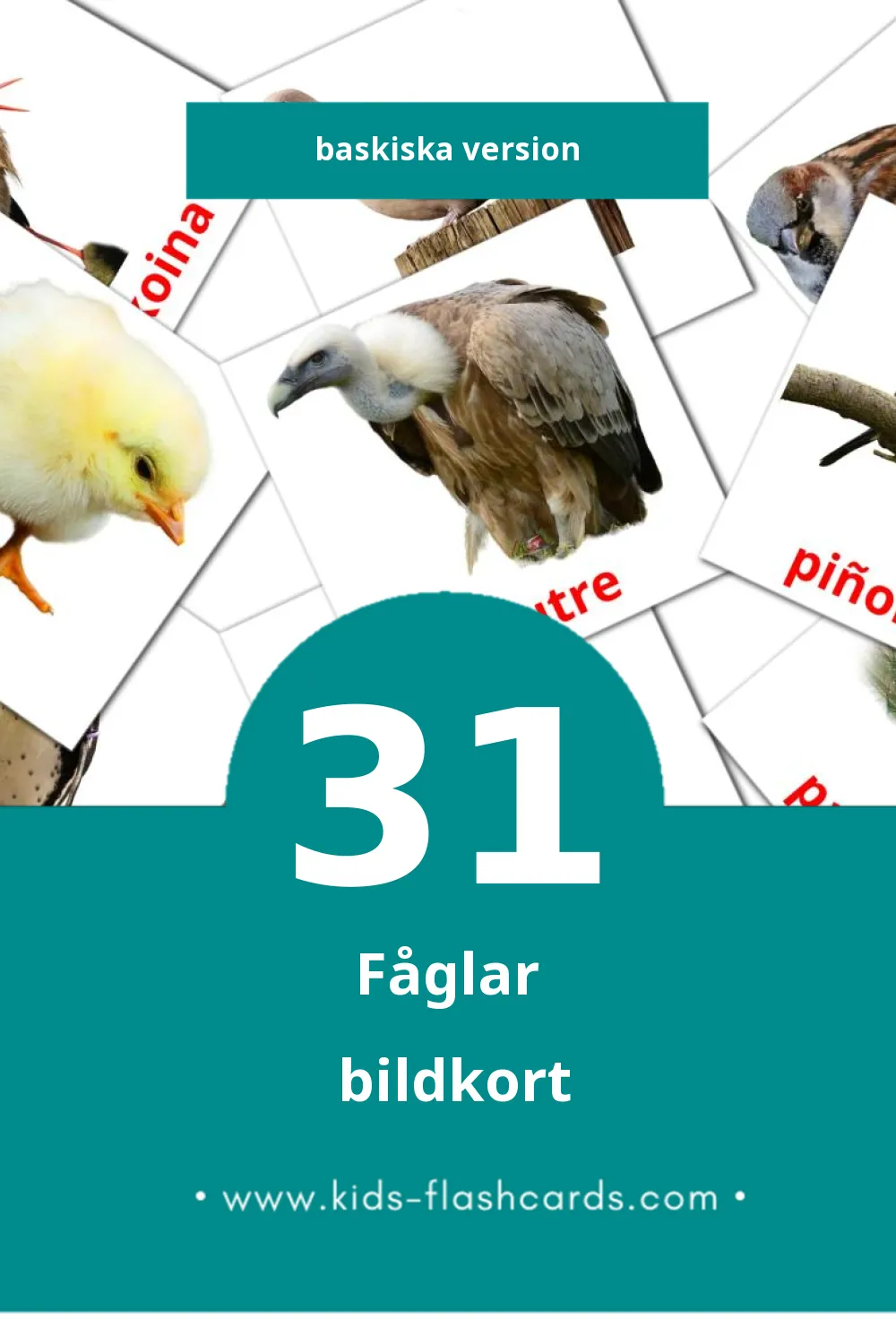 Visuella Hegaztiak för småbarn (31 bildkort för barn på Baskiska)