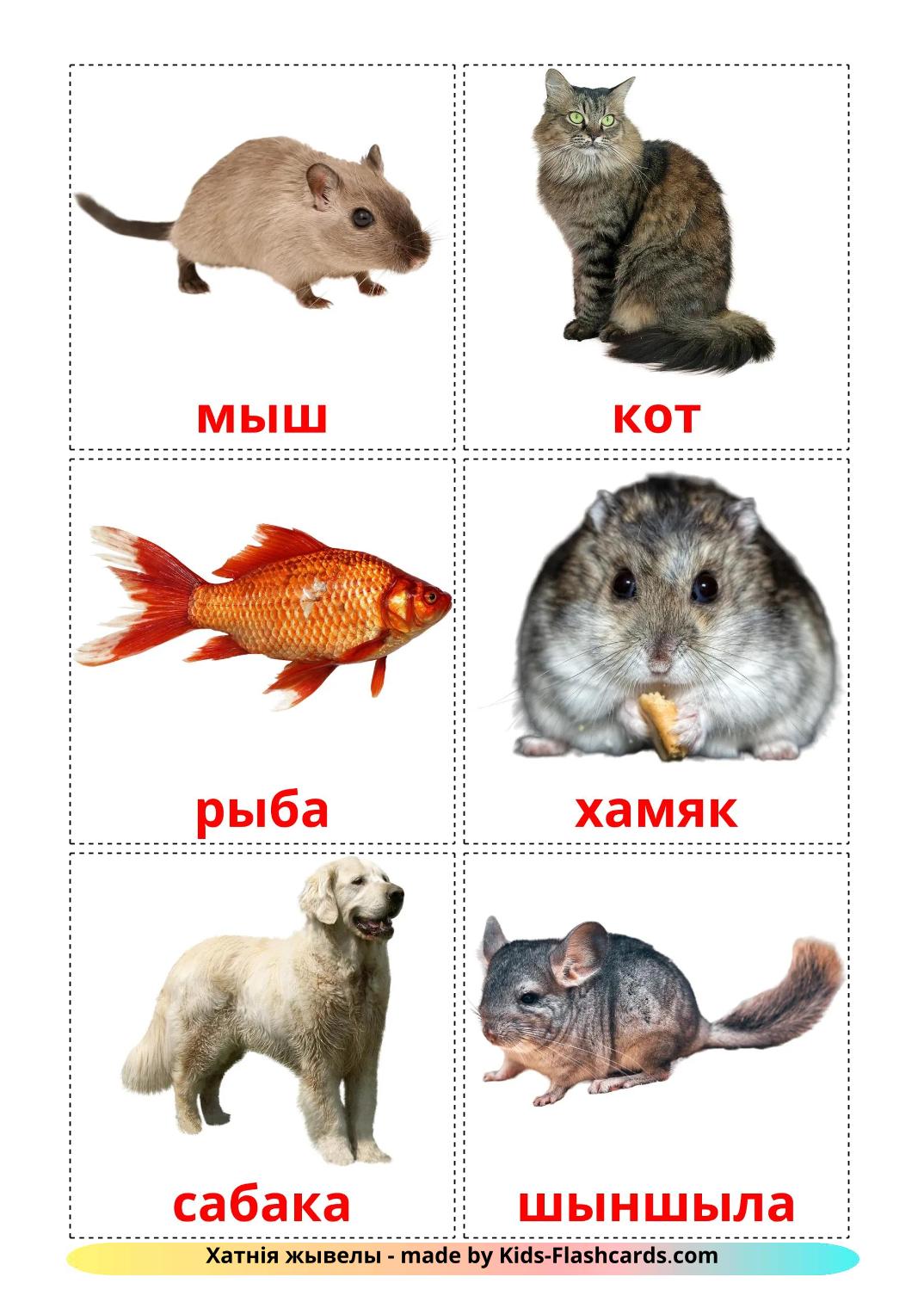 Domestic animals - 10 Free Printable belarusian Flashcards 