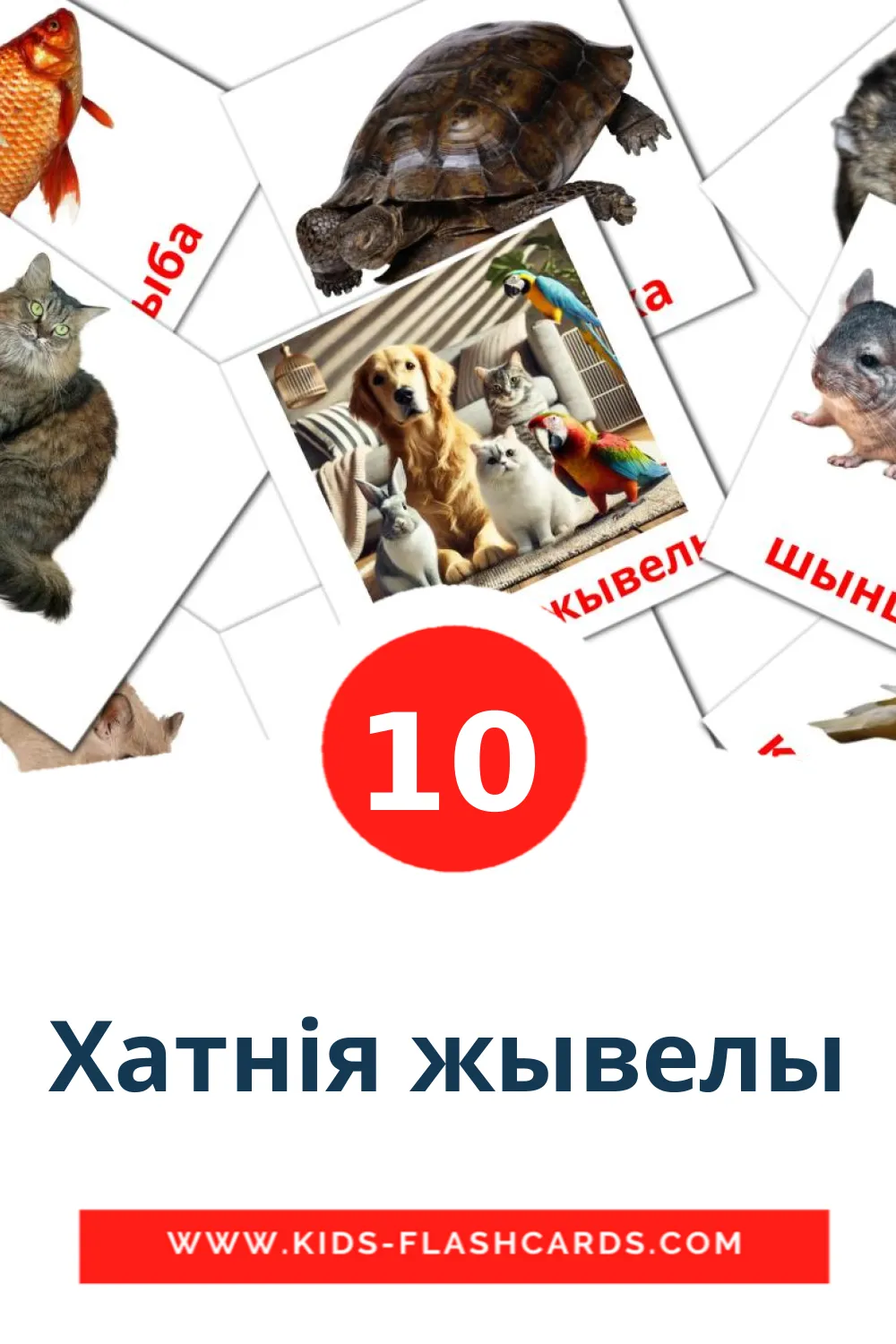 10 Xатнiя жывелы Picture Cards for Kindergarden in belarusian