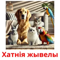 Xатнiя жывелы picture flashcards