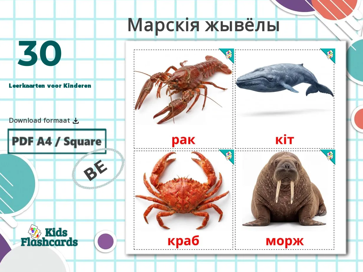 30 GRATIS Zeedieren Leerkaarten Voor Kinderen In 4 PDF Formaten Wit 30-gratis-zeedieren-leerkaarten-voor-kinderen-in-4-pdf-formaten-wit