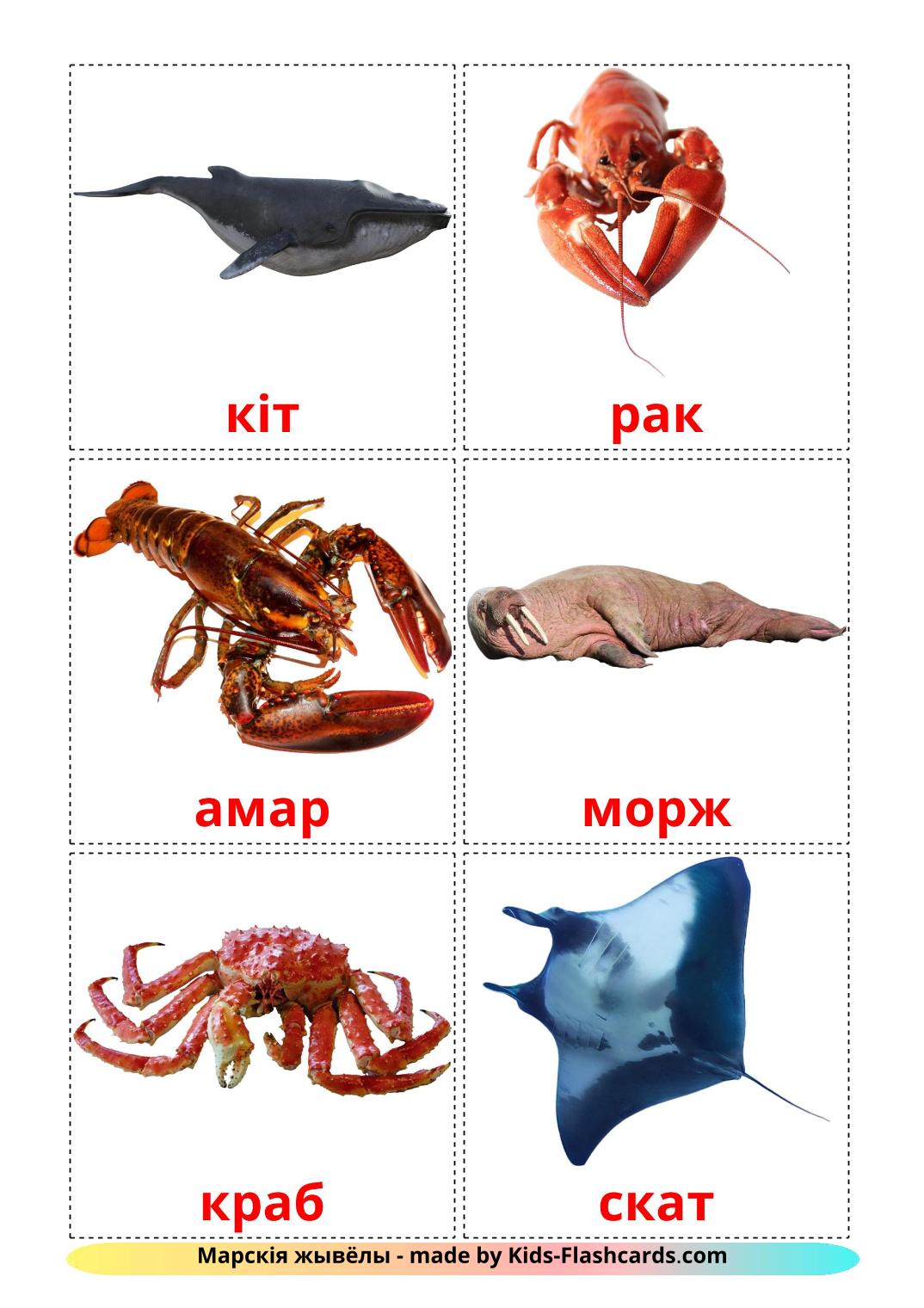 Les Animaux Marins - 29 Flashcards biélorusse imprimables gratuitement