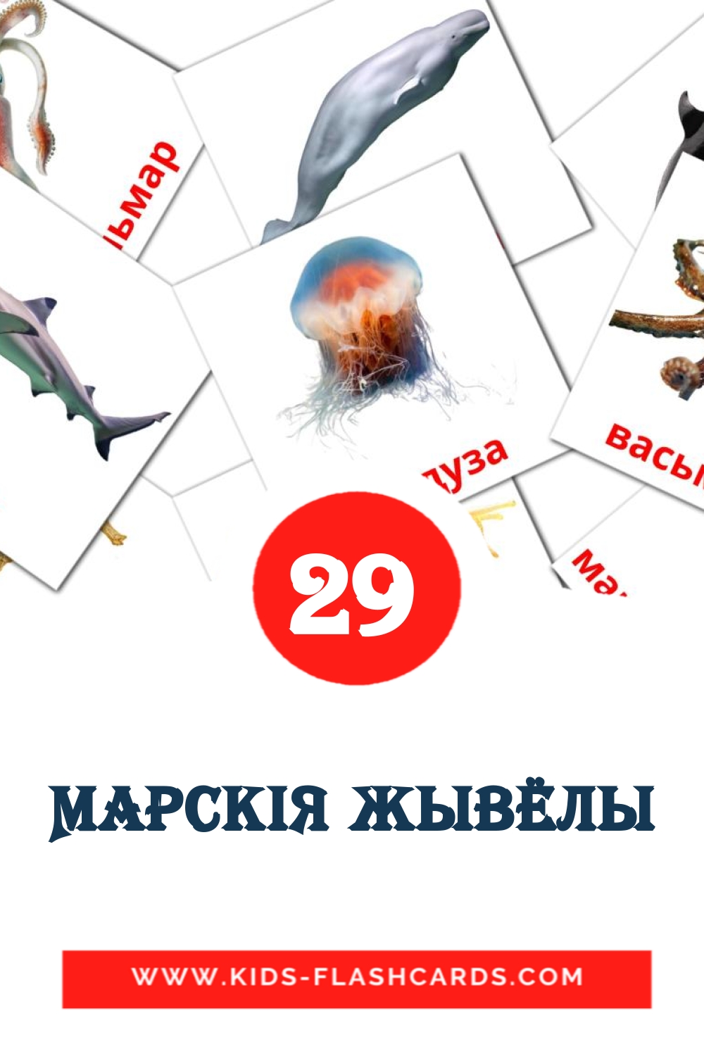 29 cartes illustrées de Марскія жывёлы pour la maternelle en biélorusse