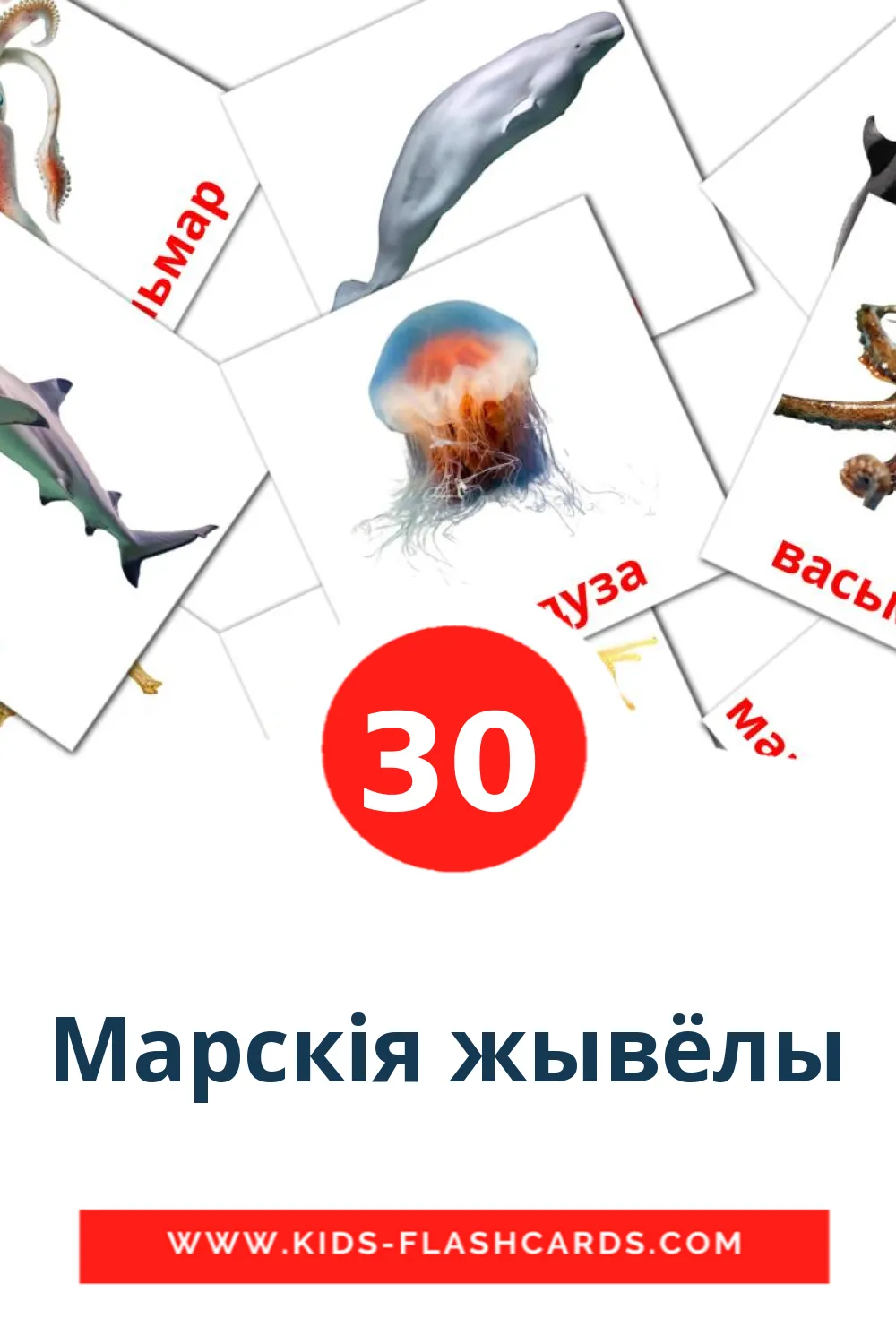 30 tarjetas didacticas de Марскія жывёлы para el jardín de infancia en bielorruso