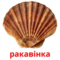 ракавінка Tarjetas didacticas