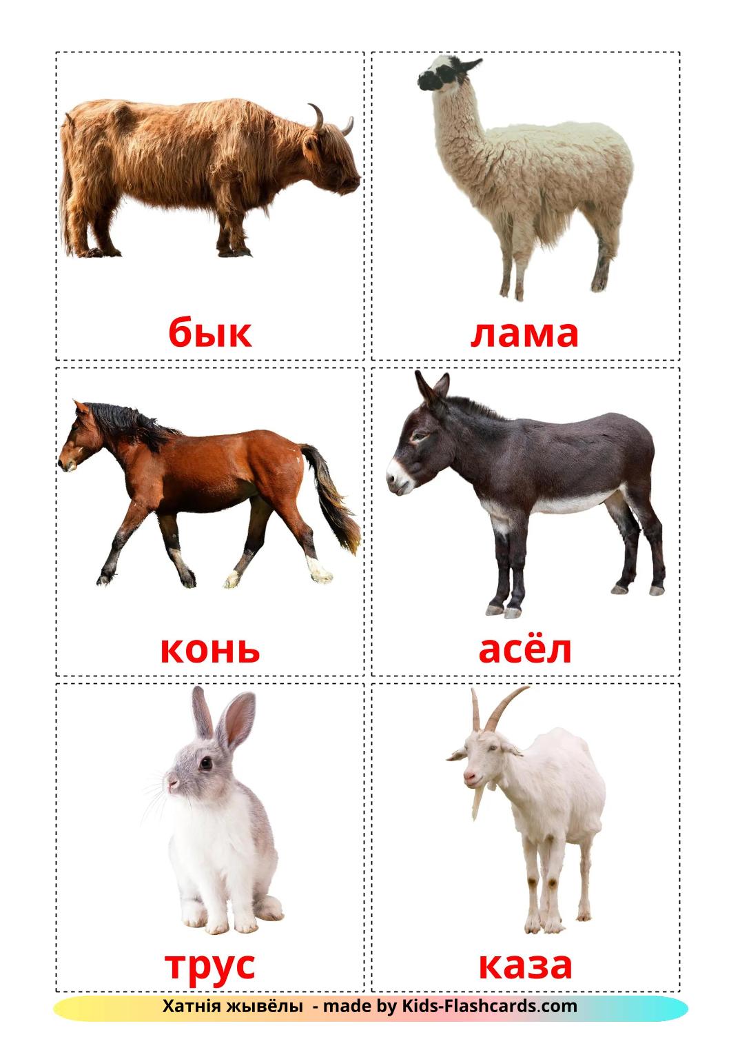 Farm animals - 16 Free Printable belarusian Flashcards 