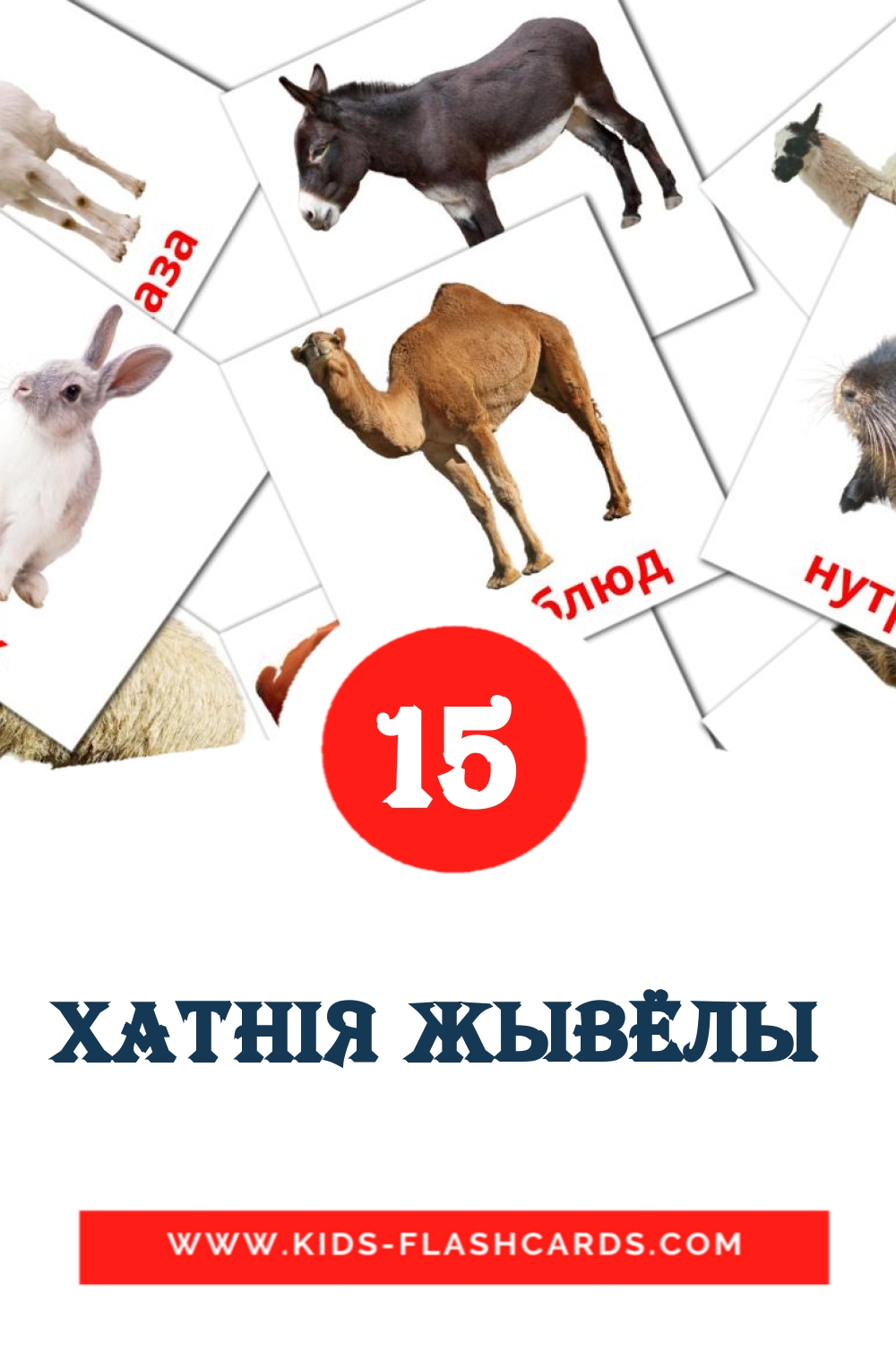 15 Хатнія жывёлы  Picture Cards for Kindergarden in belarusian