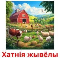 Хатнія жывёлы picture flashcards