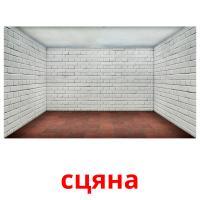 сцяна picture flashcards