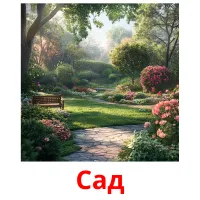 Сад picture flashcards