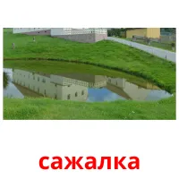 сажалка picture flashcards