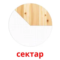 сектар picture flashcards