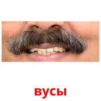 вусы cartes flash