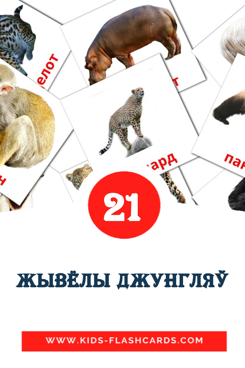 21 cartes illustrées de Жывёлы джунгляў pour la maternelle en biélorusse
