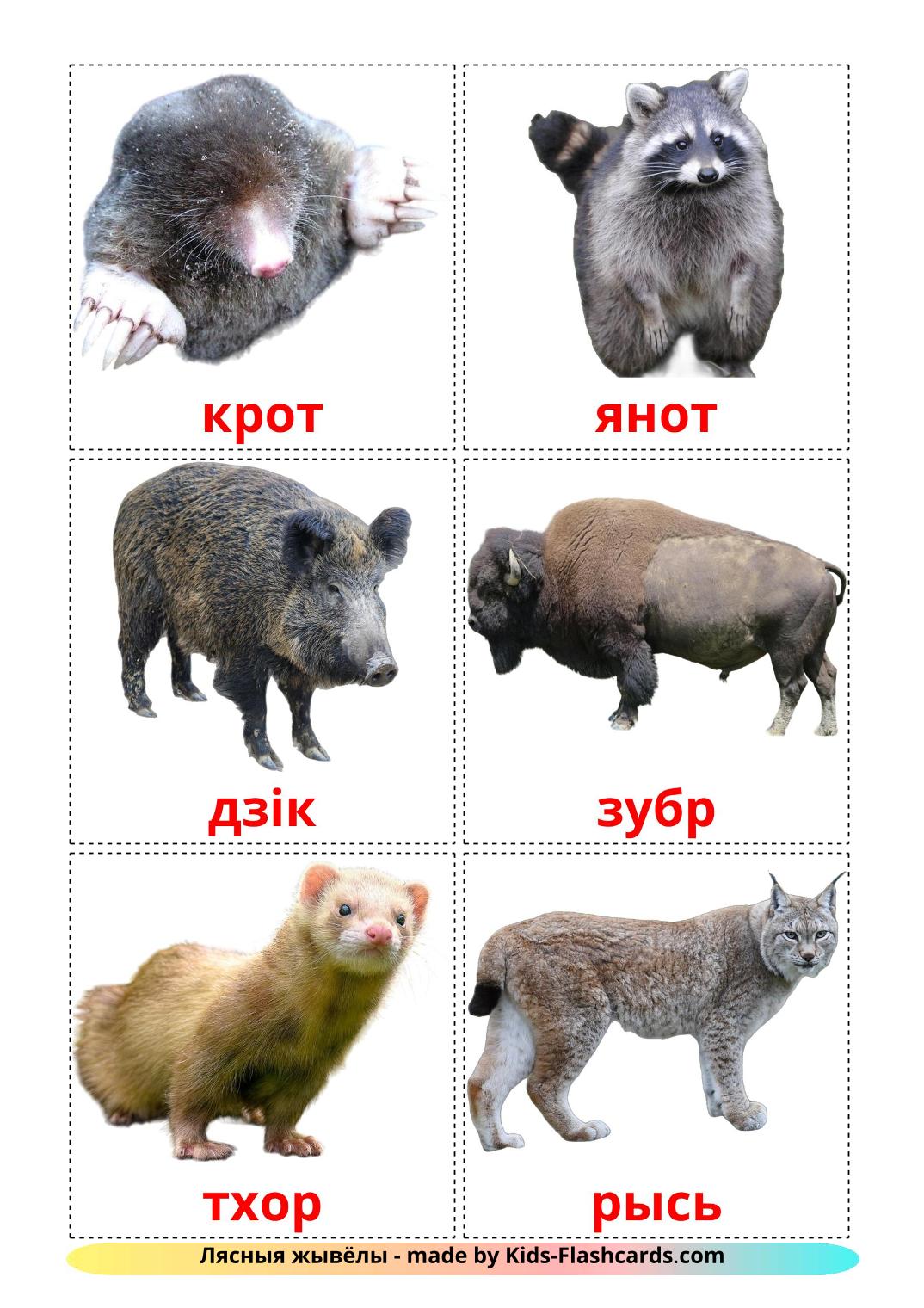 Forest animals - 22 Free Printable belarusian Flashcards 